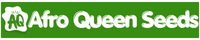 Afro Queen Seeds - Buy High-Quality Seeds Online